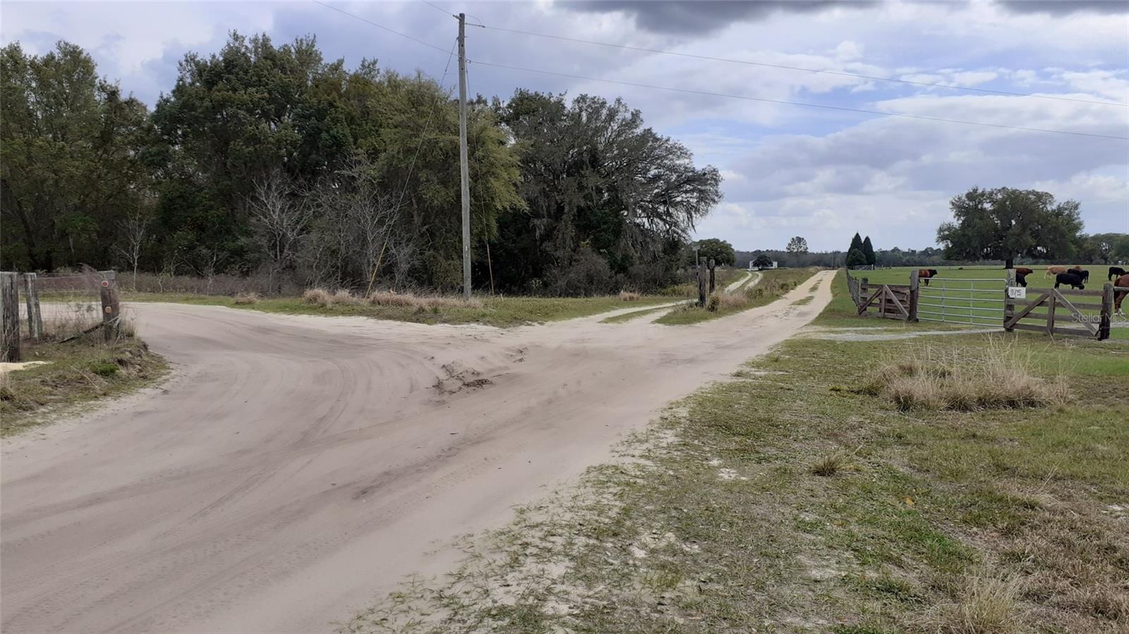 Details for Lot 01700 Los Robles Drive, GROVELAND, FL 34736