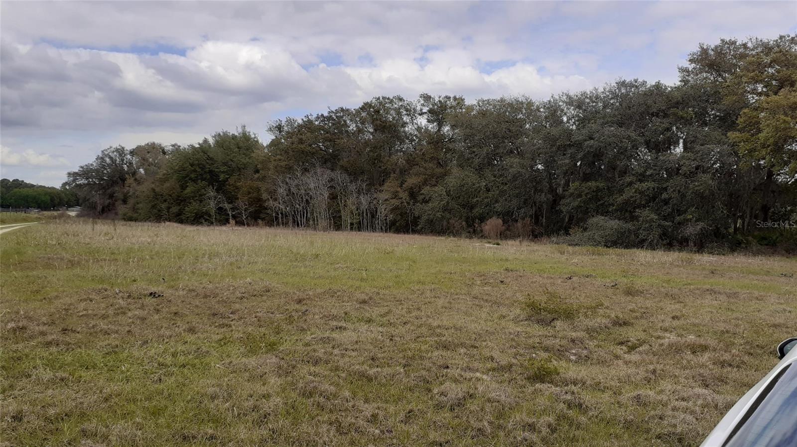 Image 3 of 4 For Lot 01700 Los Robles Drive