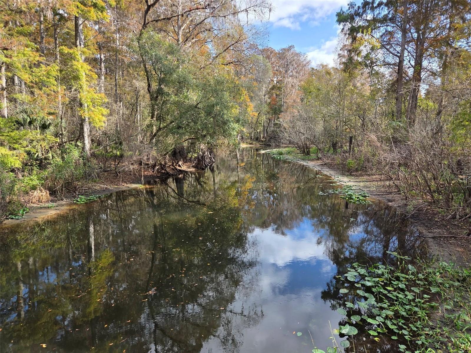 Image 44 of 46 For 13304 Sanctuary Cove Drive 303