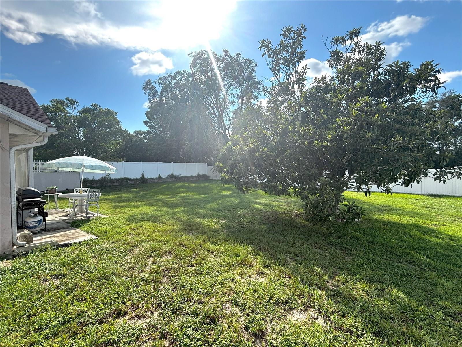 Image 3 of 6 For 13393 Drayton Drive