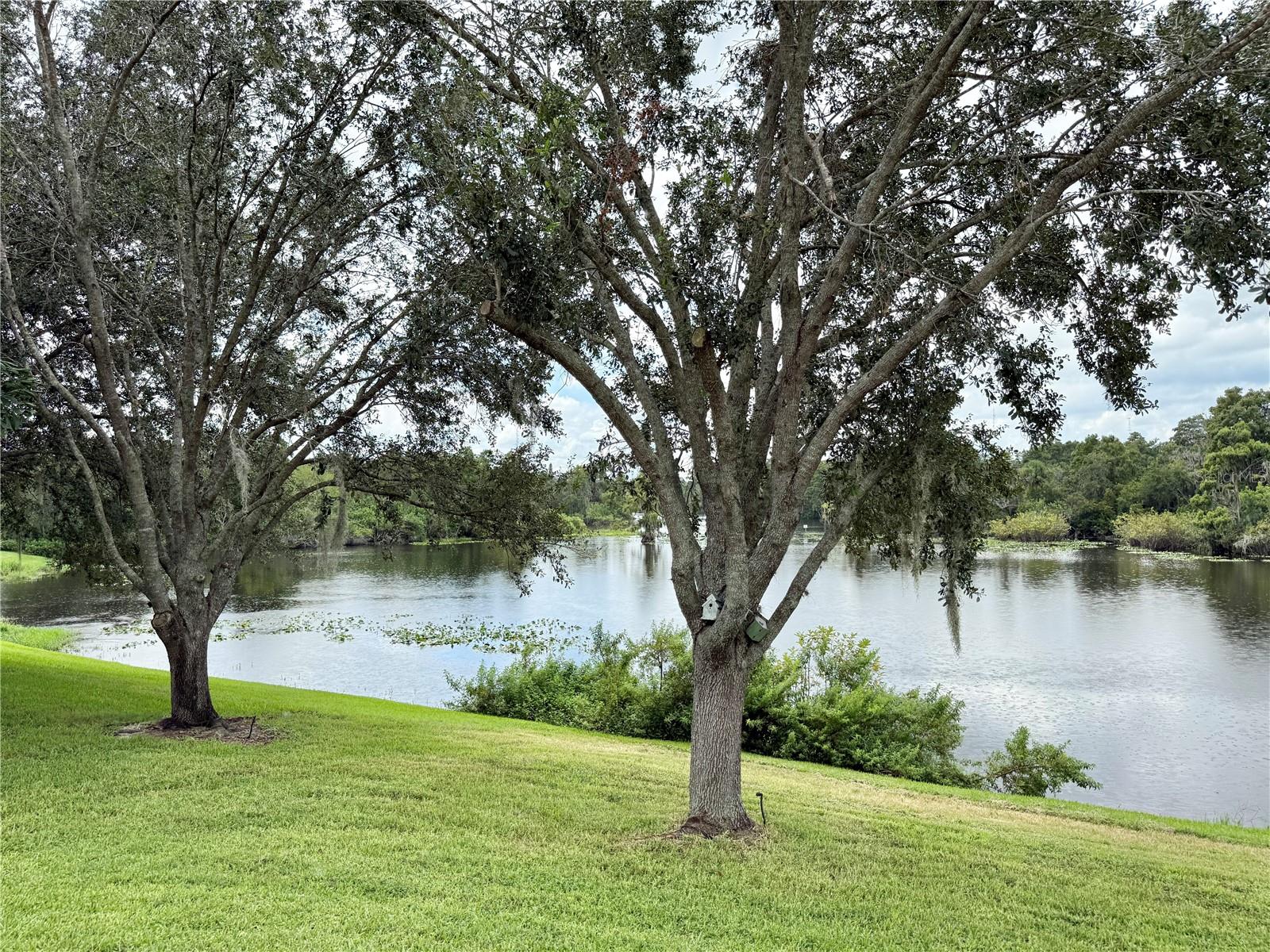 Listing photo id 53 for 7425 Terrace River Drive