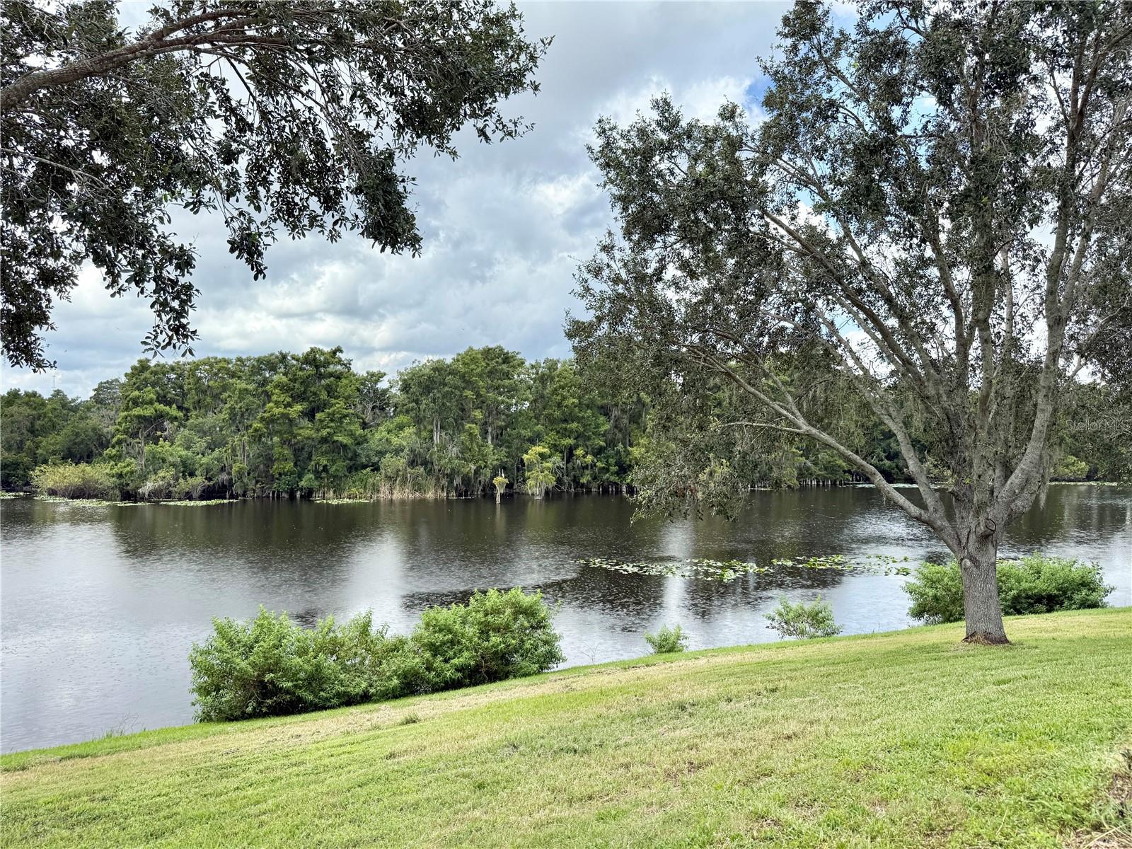 Listing photo id 54 for 7425 Terrace River Drive