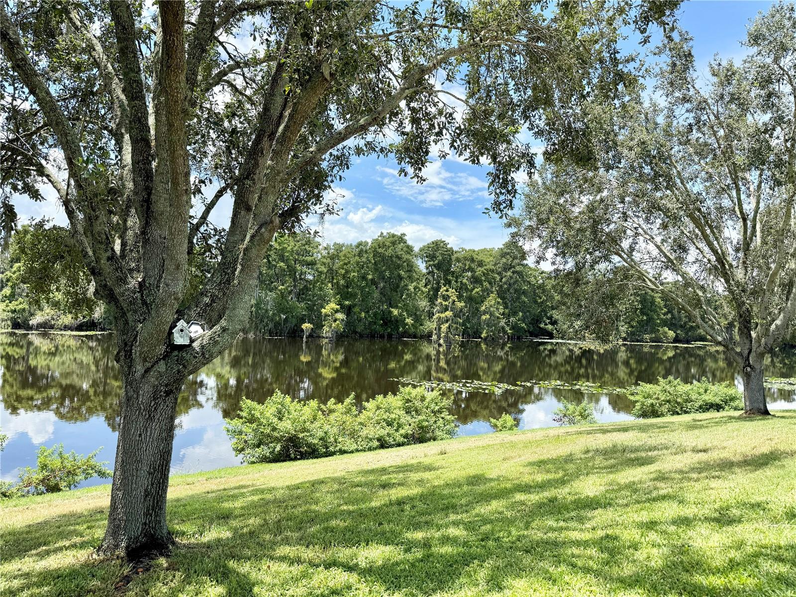 Listing photo id 55 for 7425 Terrace River Drive