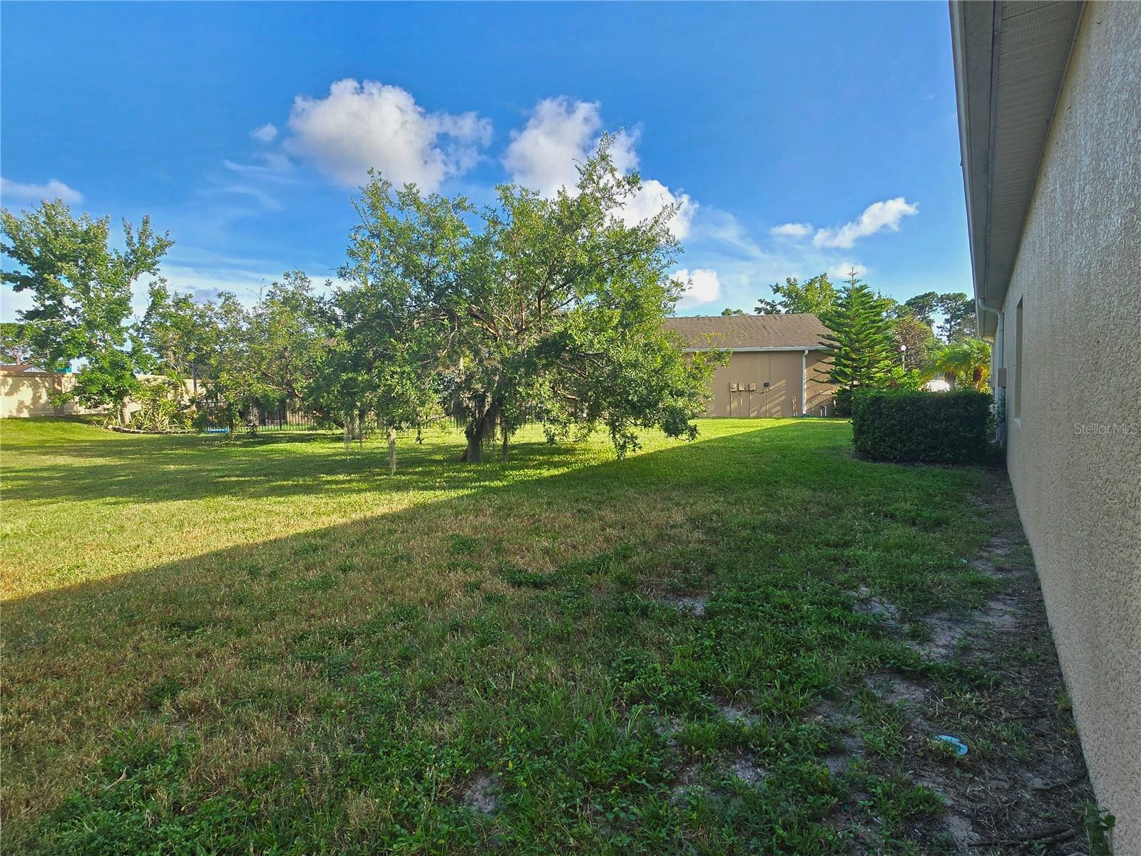Listing photo id 39 for 2329 Barracuda Court