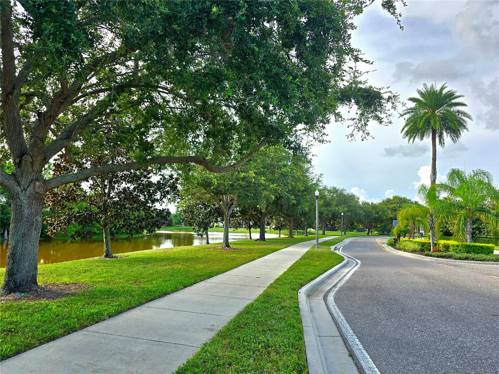 Listing photo id 44 for 2329 Barracuda Court