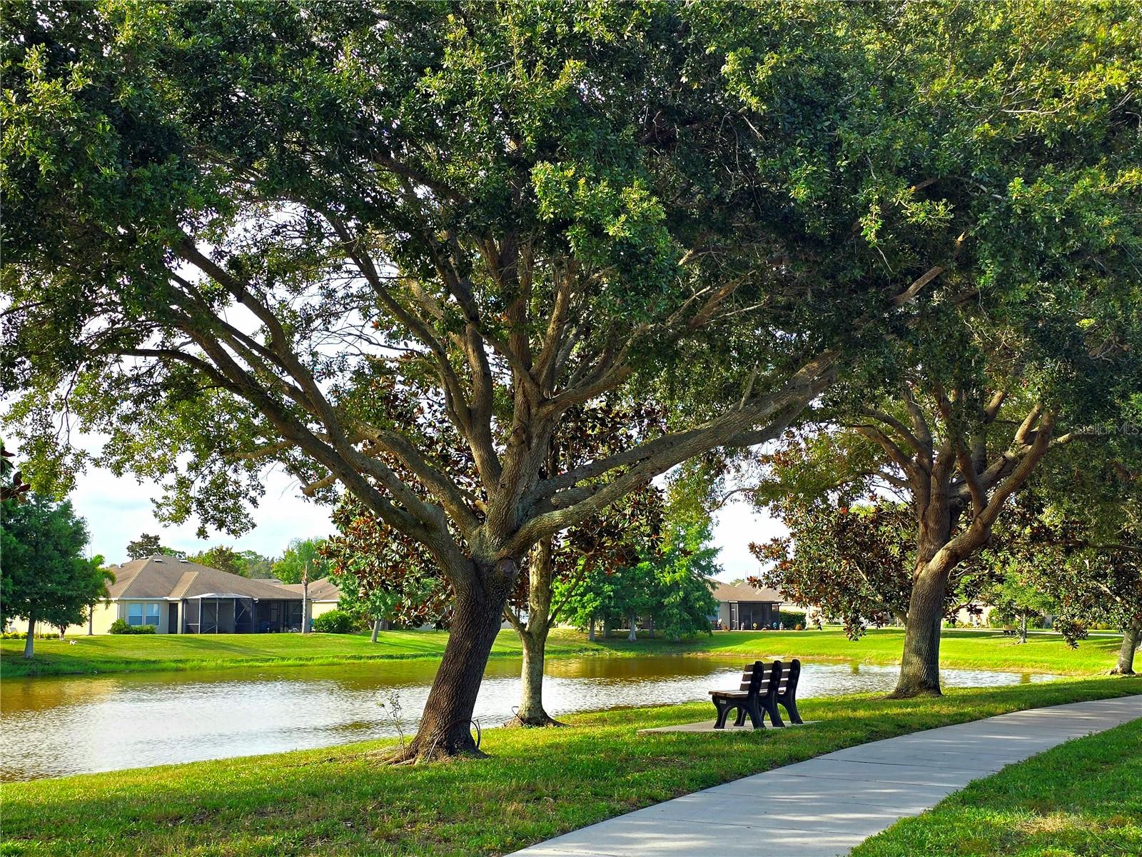 Listing photo id 45 for 2329 Barracuda Court