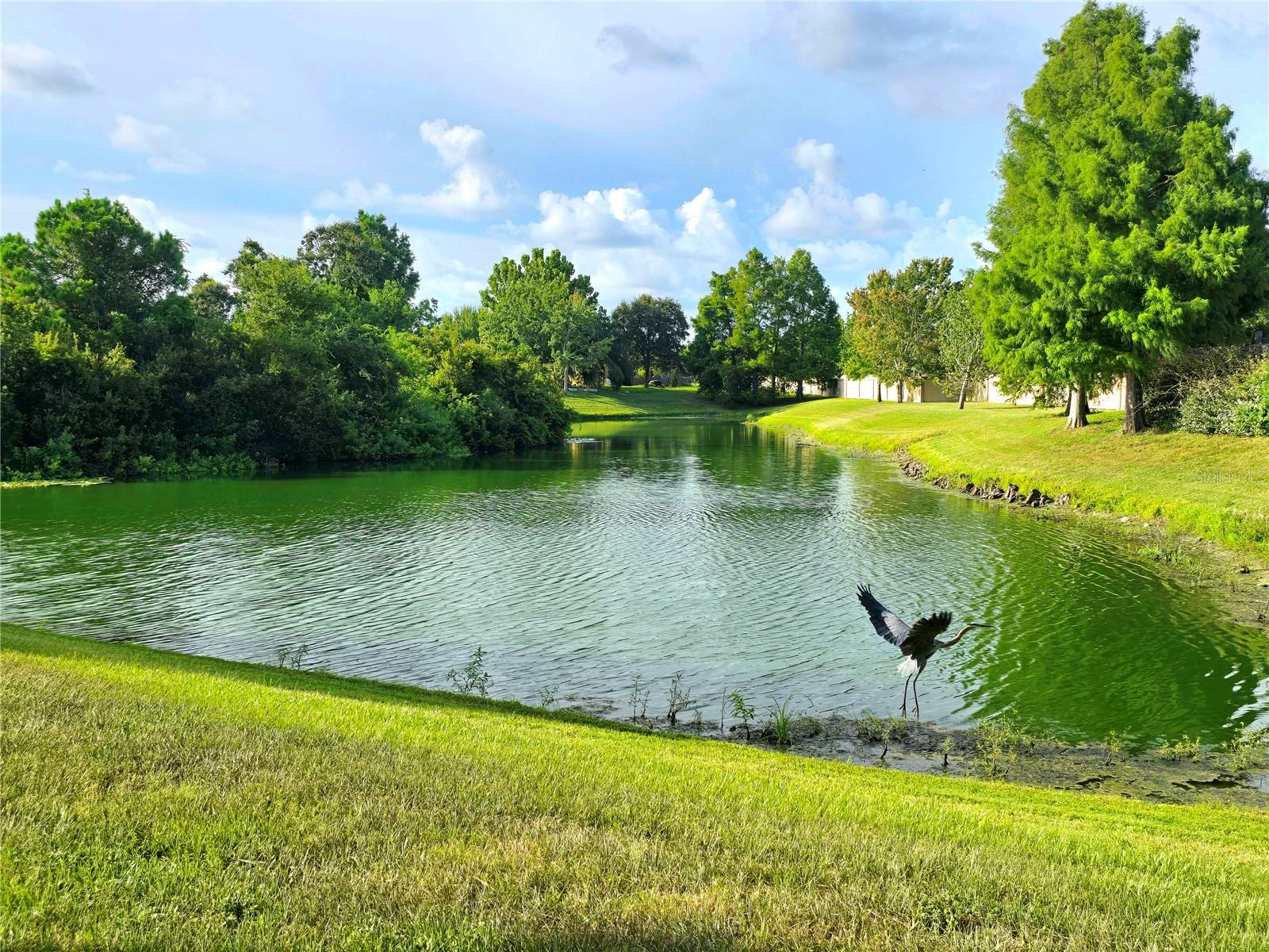 Listing photo id 6 for 2329 Barracuda Court