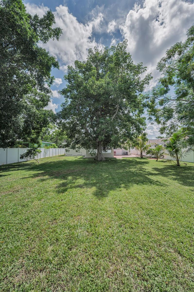 Image 61 of 100 For 554 Louden Avenue