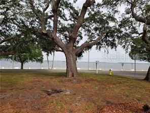 Image 5 of 21 For 4007 Bayshore Boulevard