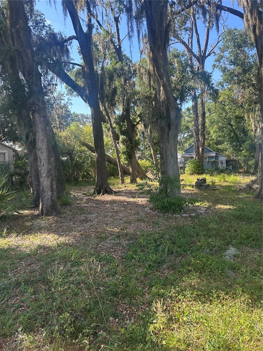 Image 10 of 19 For  0 Tomlin St  
