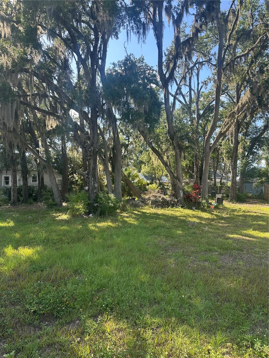 Image 9 of 19 For  0 Tomlin St  