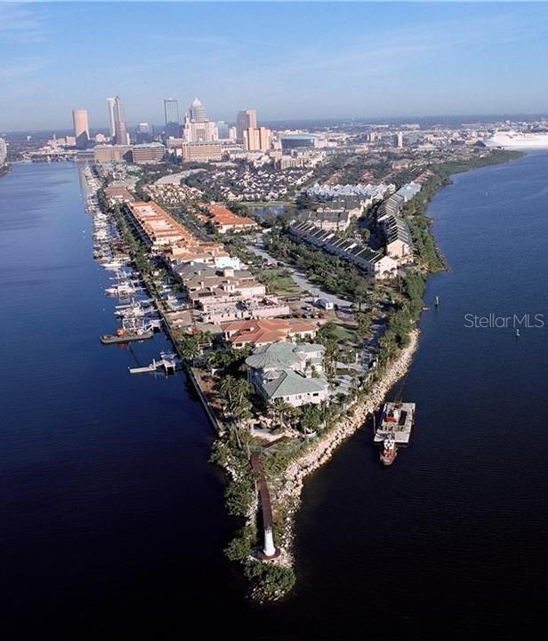 Image 51 of 53 For 1000 Harbour Island Boulevard 2210