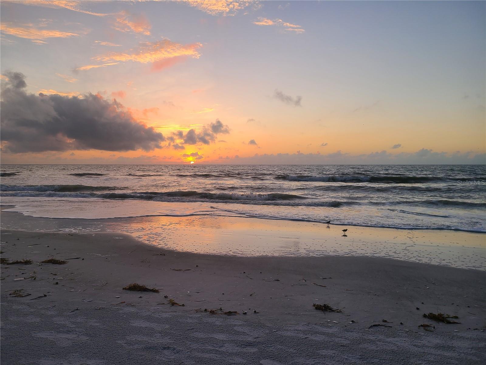 Image 48 of 56 For 1560 Gulf Boulevard 1007