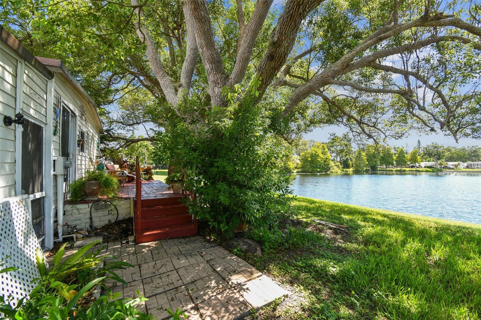 Image 39 of 72 For 12501 Ulmerton Road 241