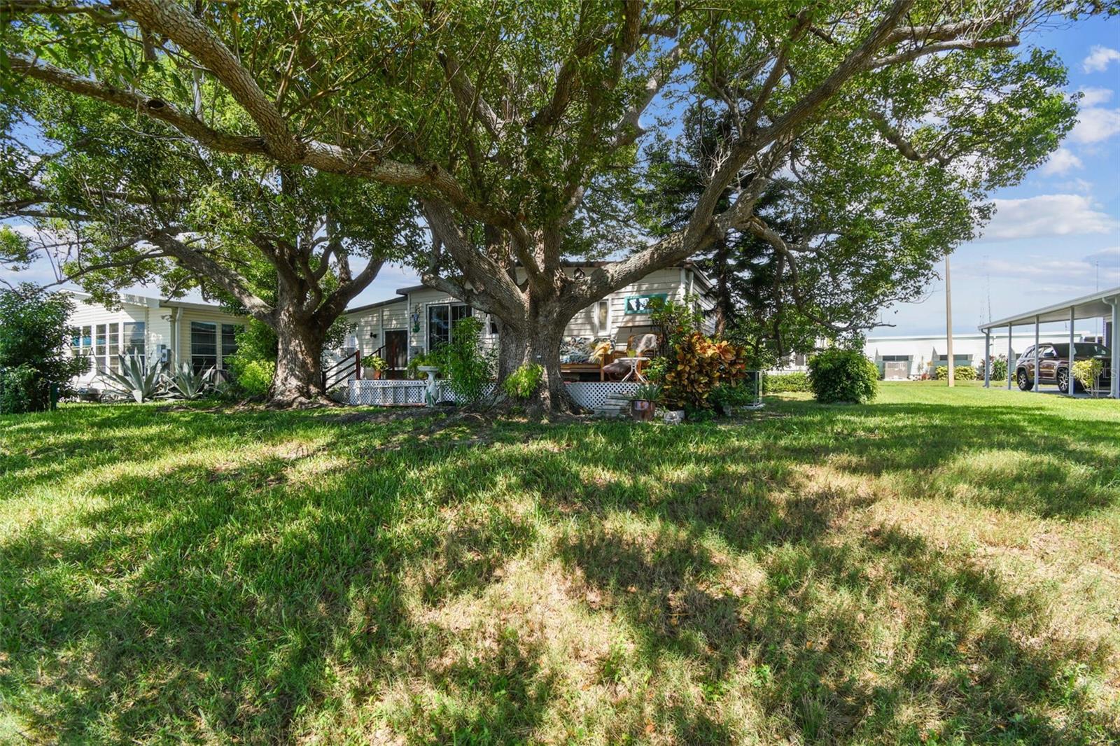 Image 41 of 72 For 12501 Ulmerton Road 241
