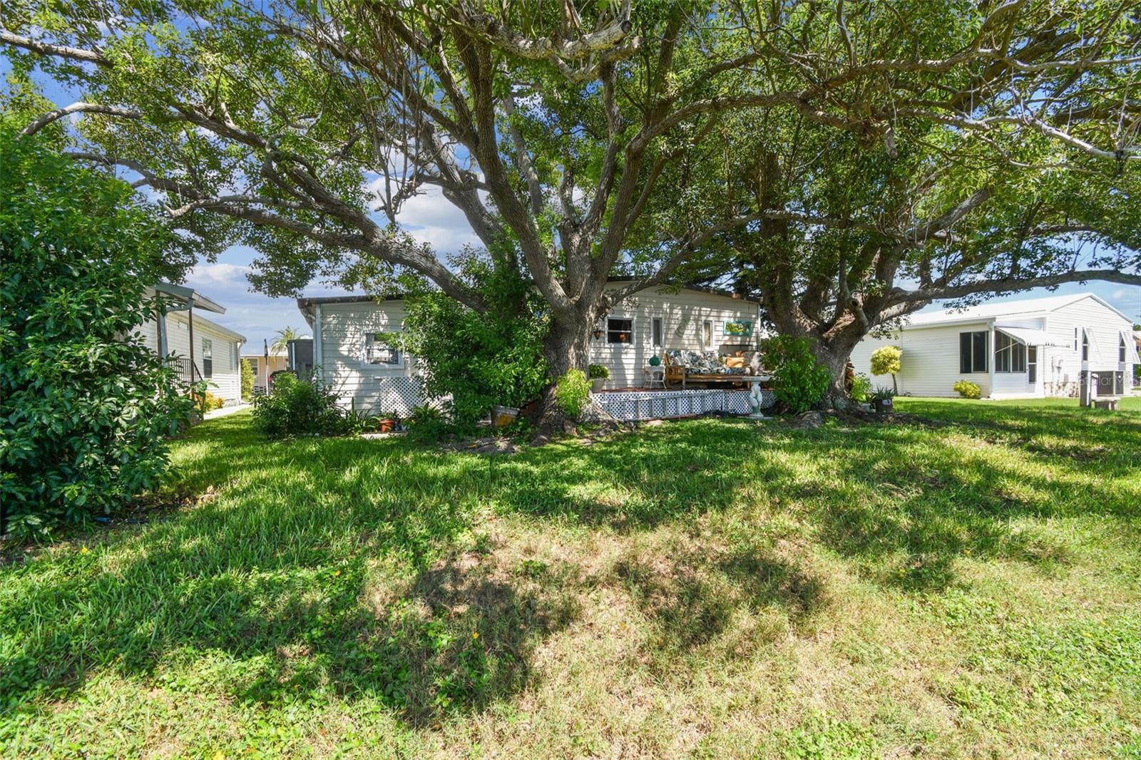 Image 43 of 72 For 12501 Ulmerton Road 241