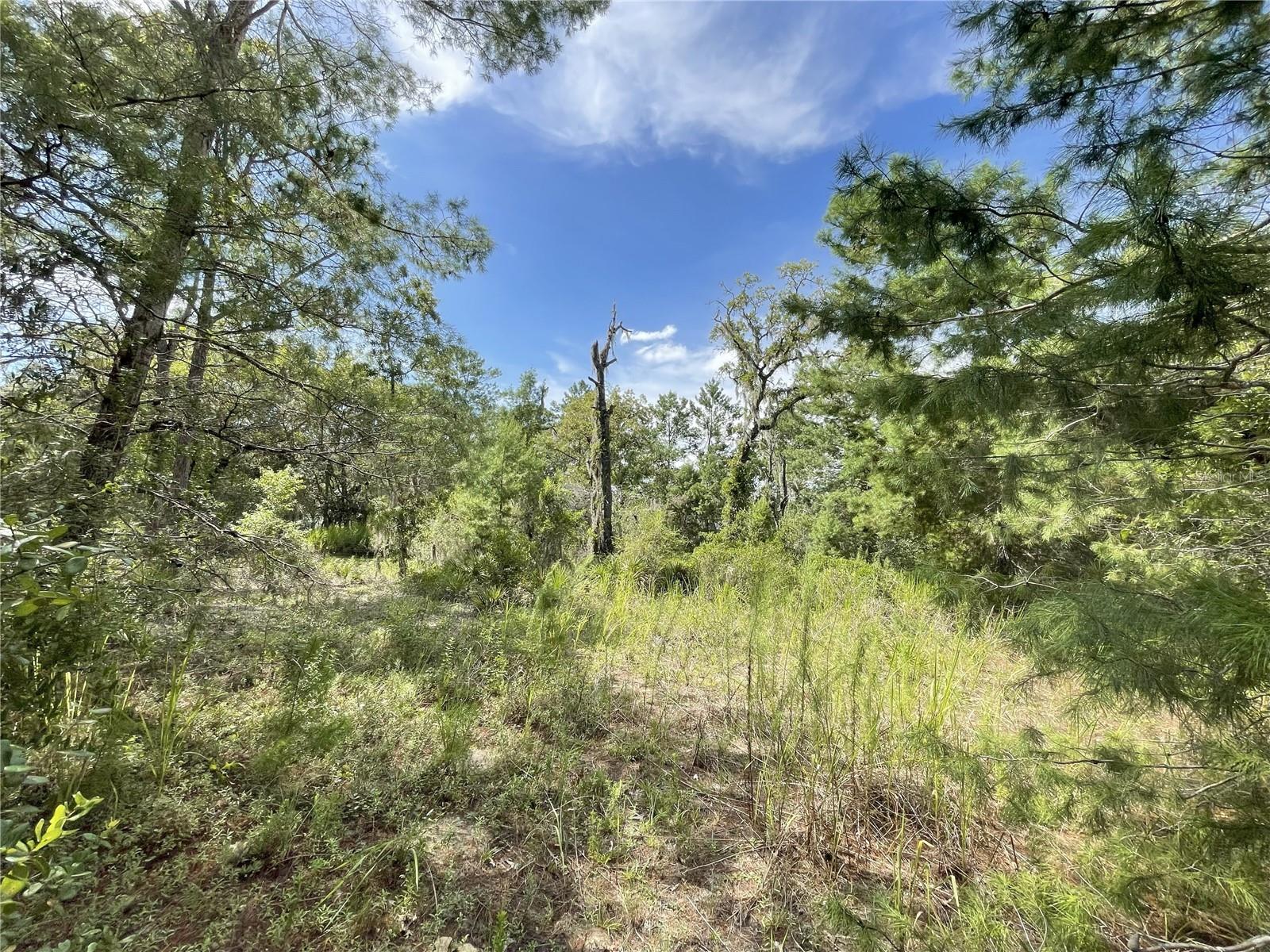 Image 14 of 44 For 5529 Stockholm Lane