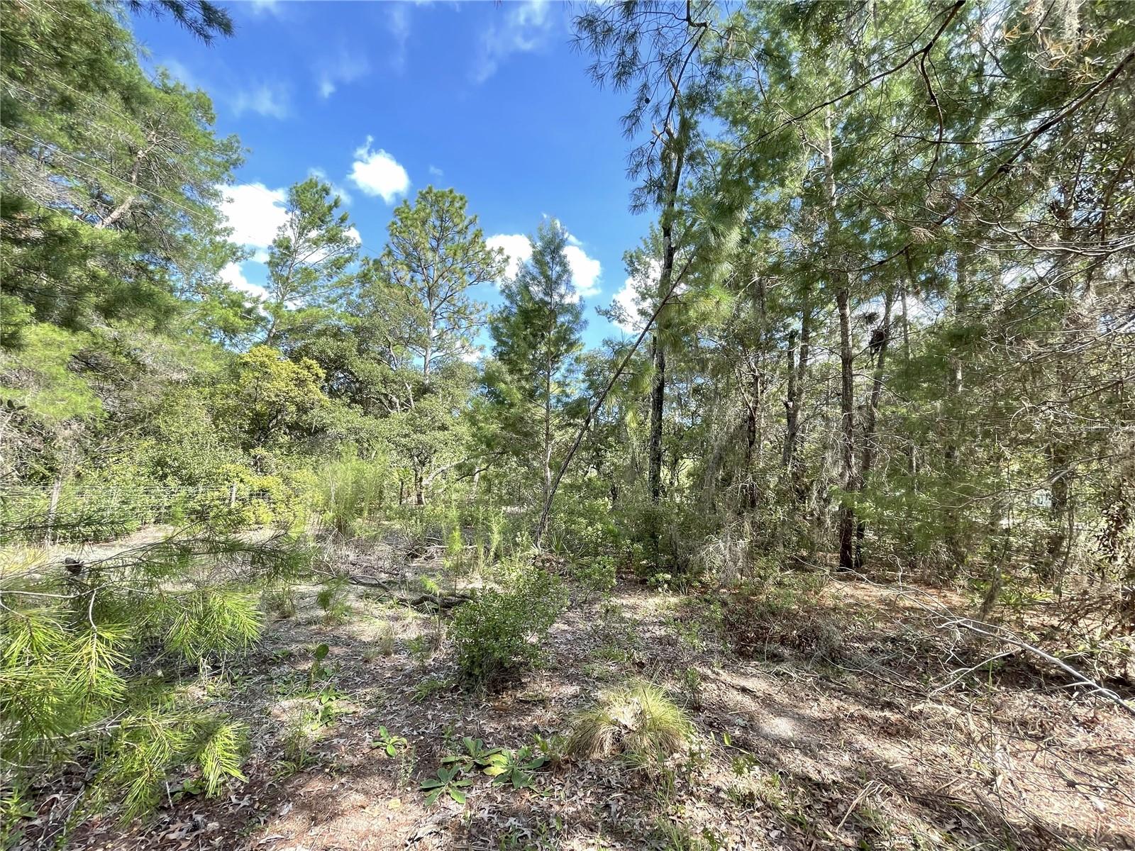 Image 9 of 44 For 5529 Stockholm Lane