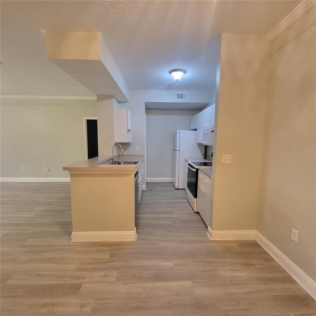 Image 13 of 32 For 17102 Carrington Park Drive 313