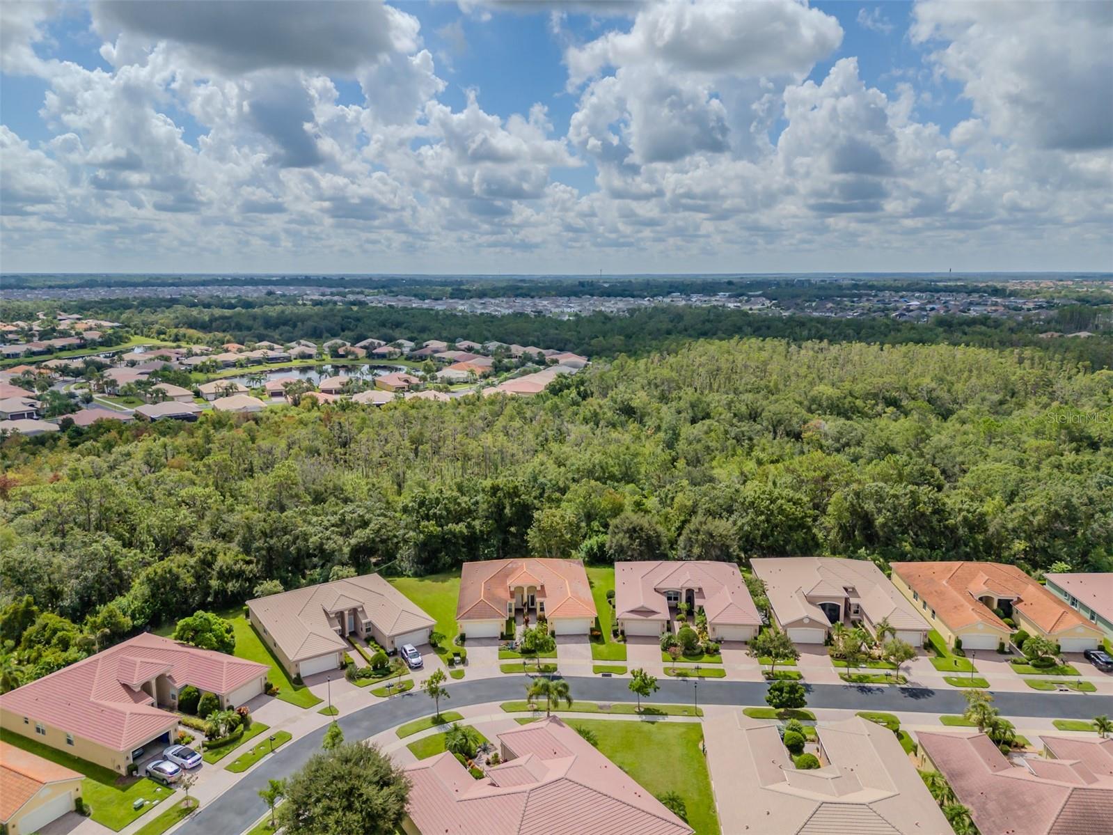 Image 39 of 84 For 16130 Amethyst Key Drive