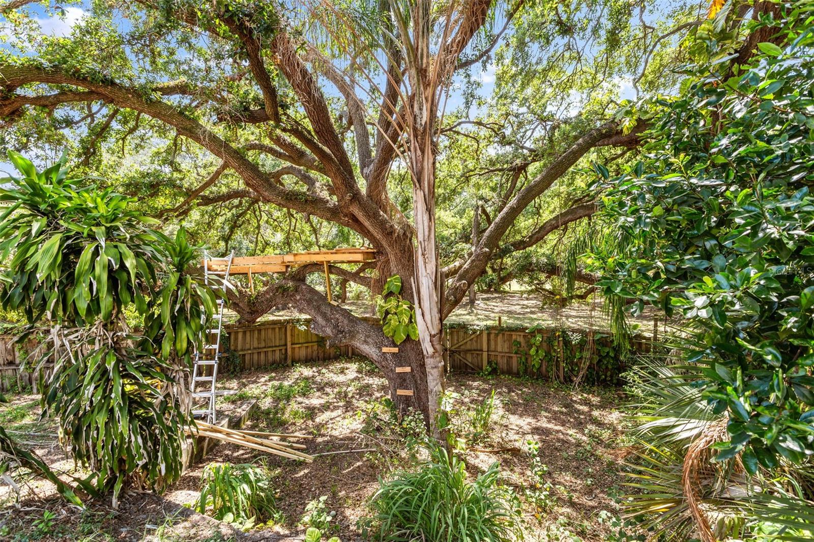 Image 24 of 25 For 2756 Braham Court