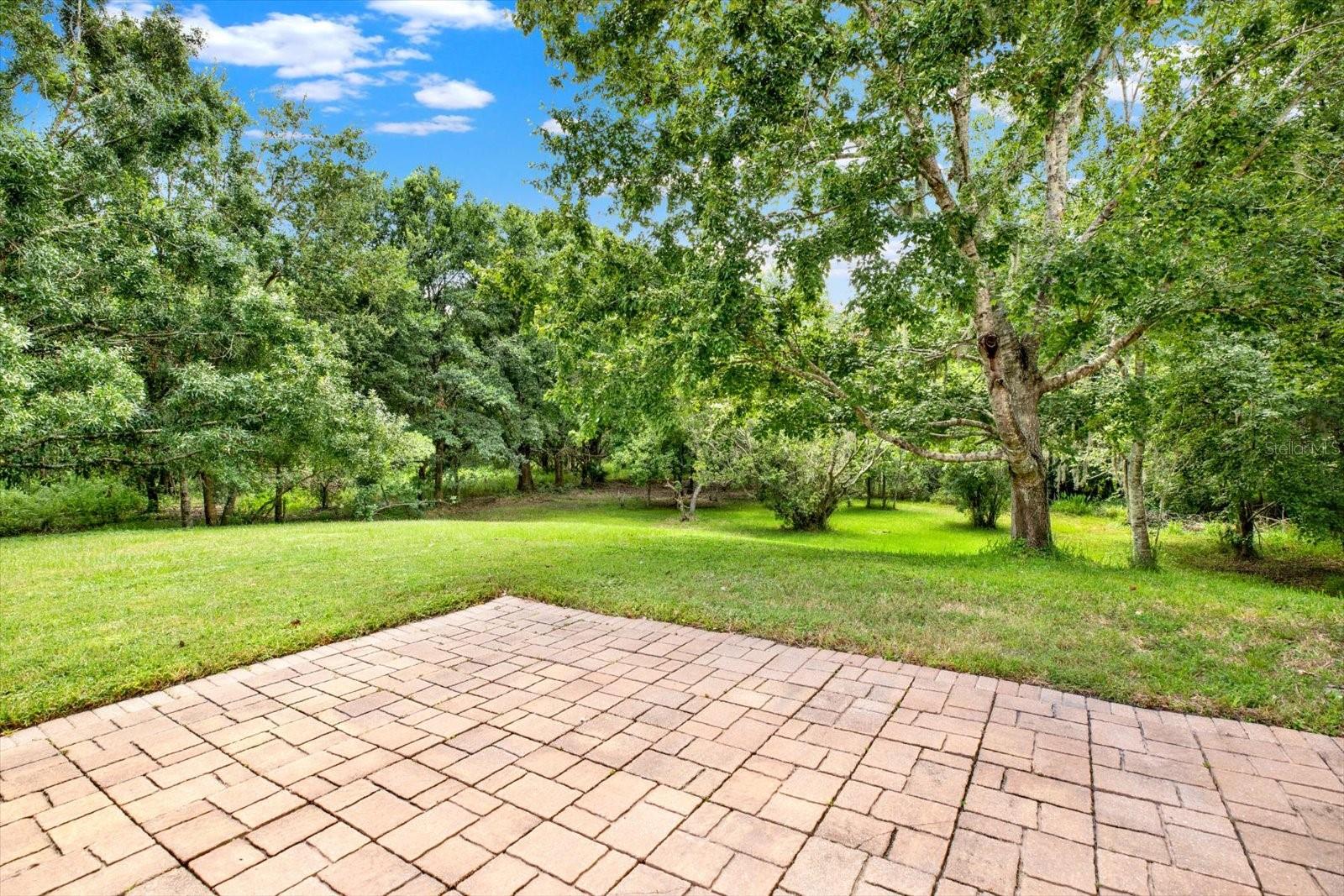 Image 9 of 54 For 27540 Stonecreek Way