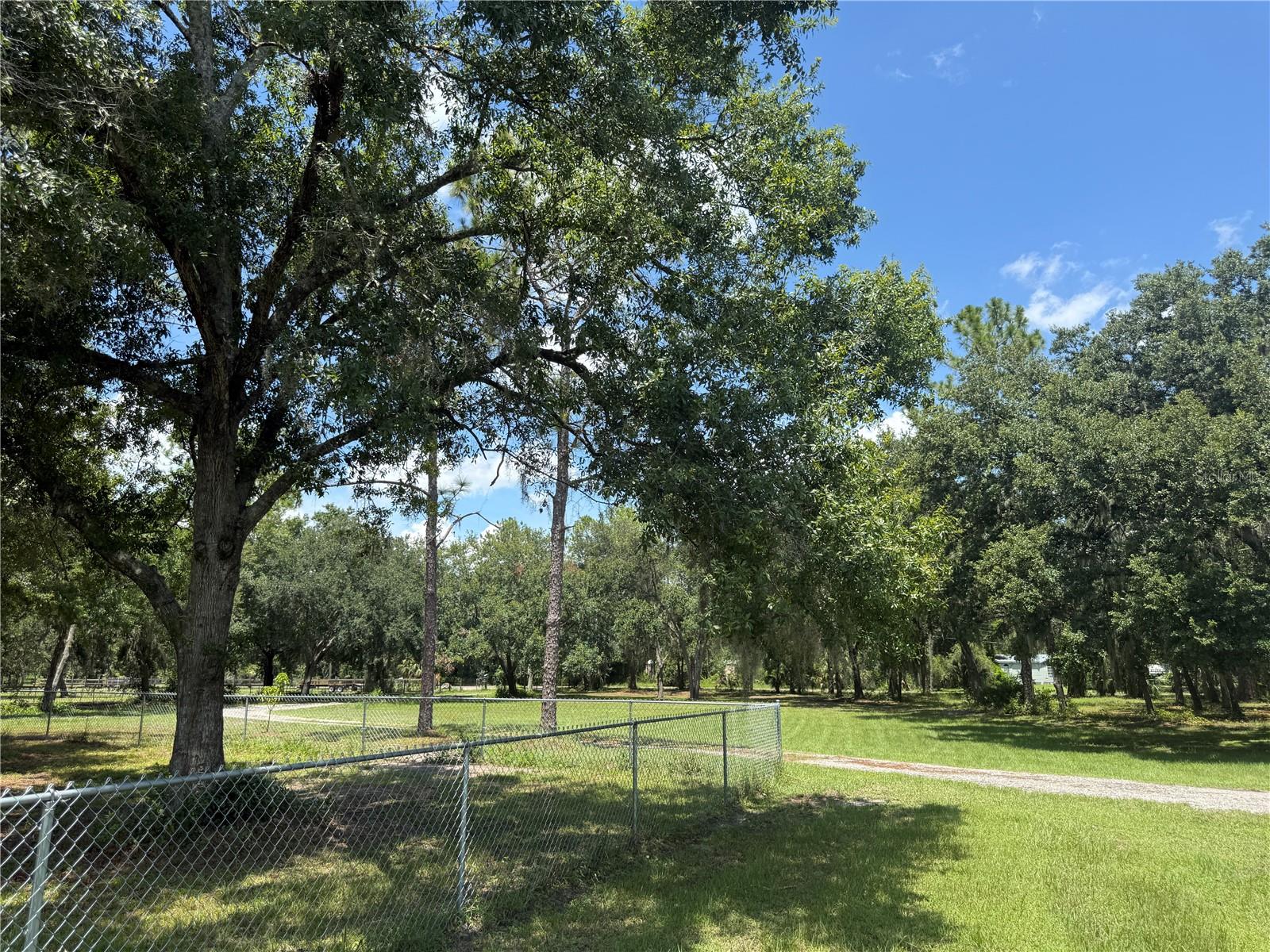 Image 10 of 30 For 5510 Gator Country