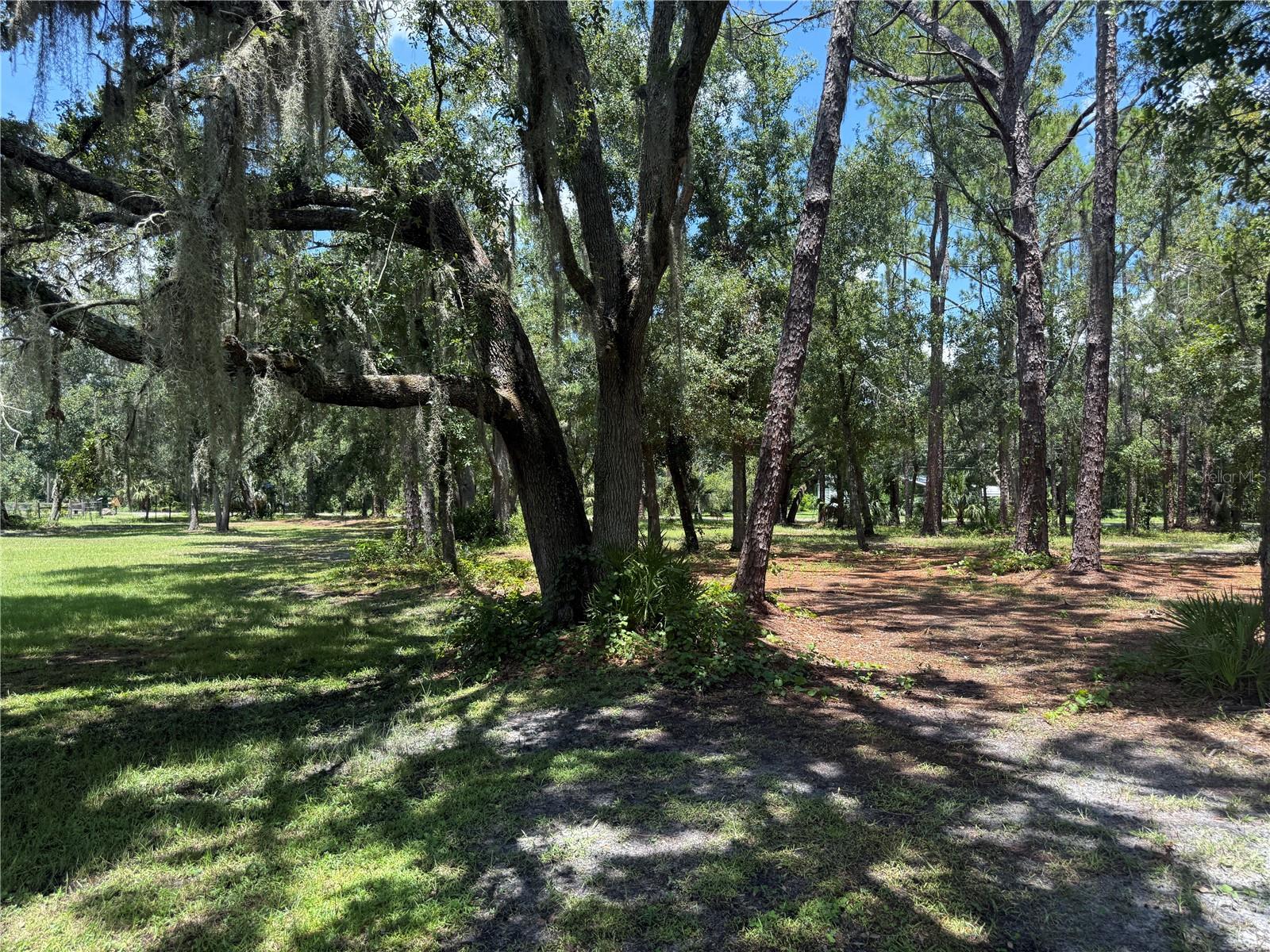 Image 14 of 30 For 5510 Gator Country