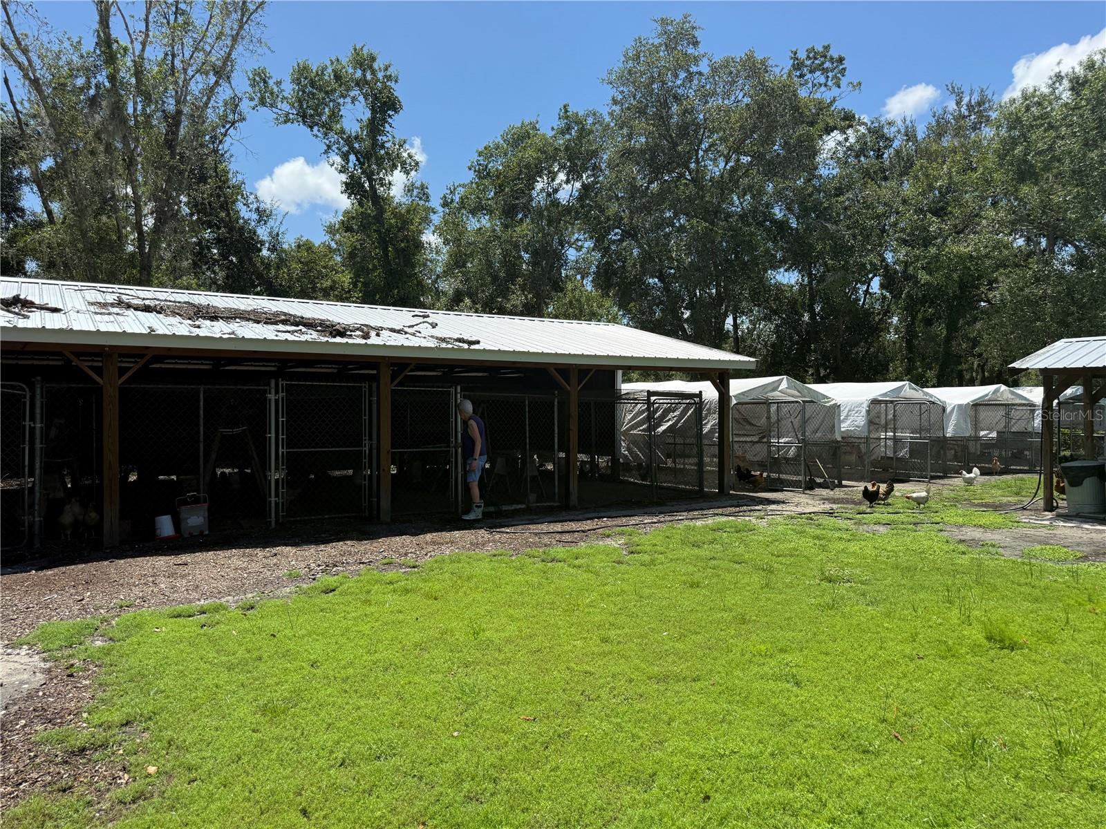 Image 4 of 30 For 5510 Gator Country