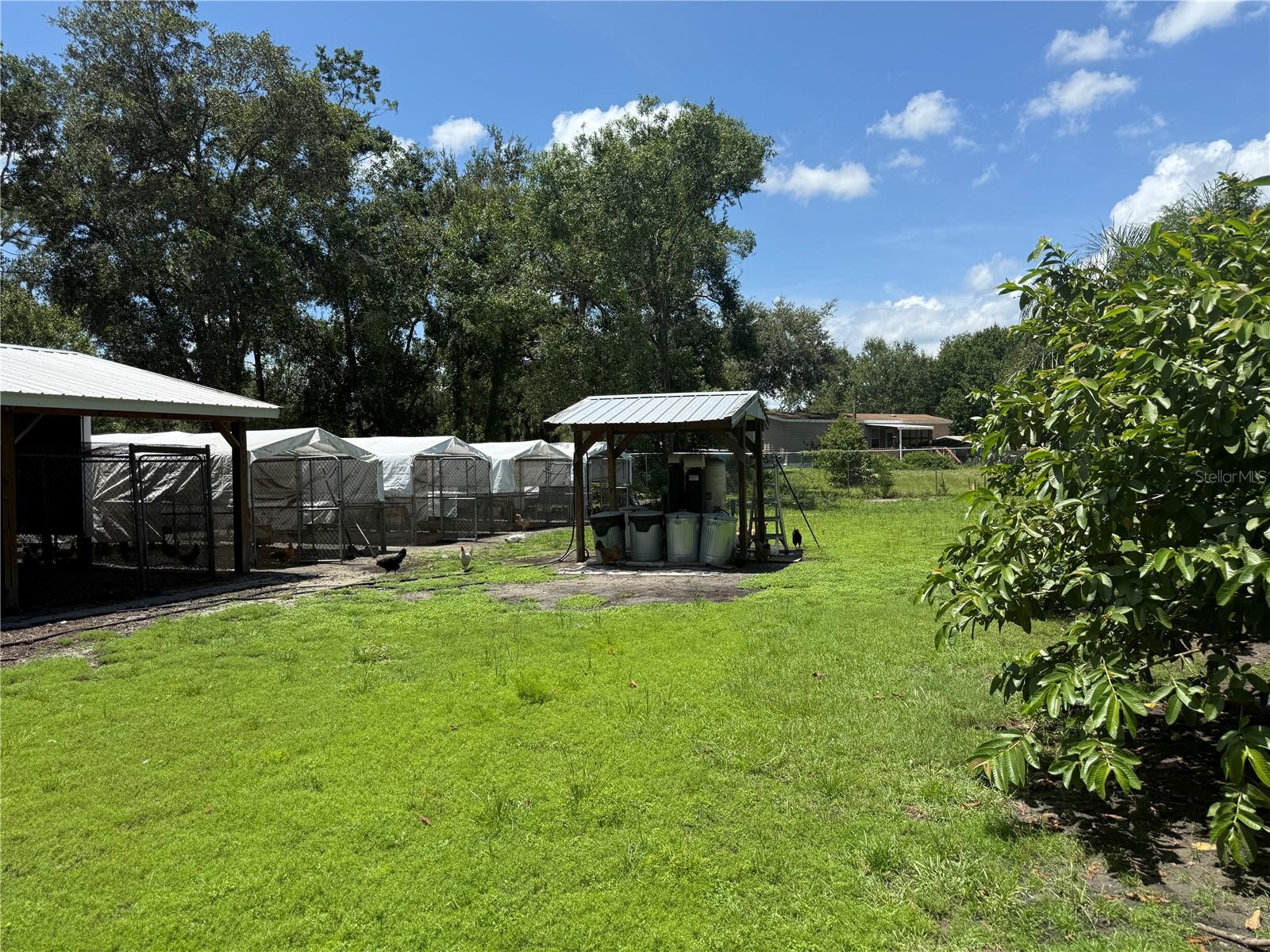 Image 7 of 30 For 5510 Gator Country