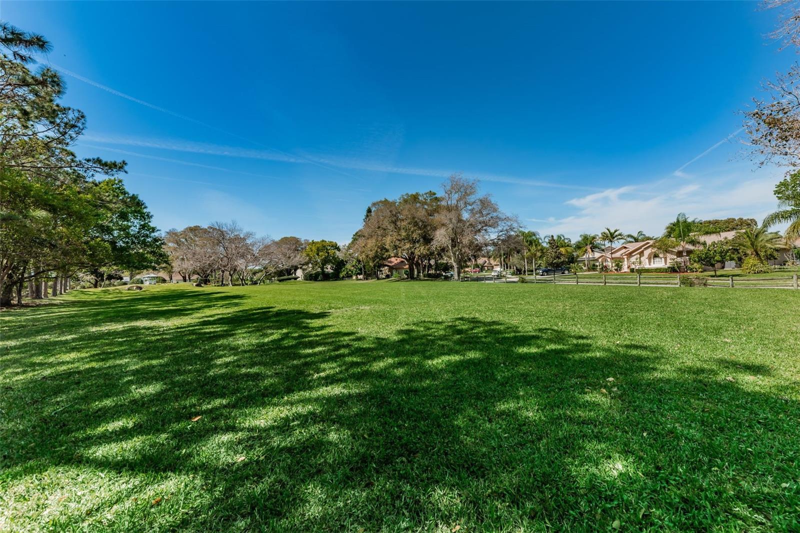 Image 56 of 80 For 2796 Challenger Drive