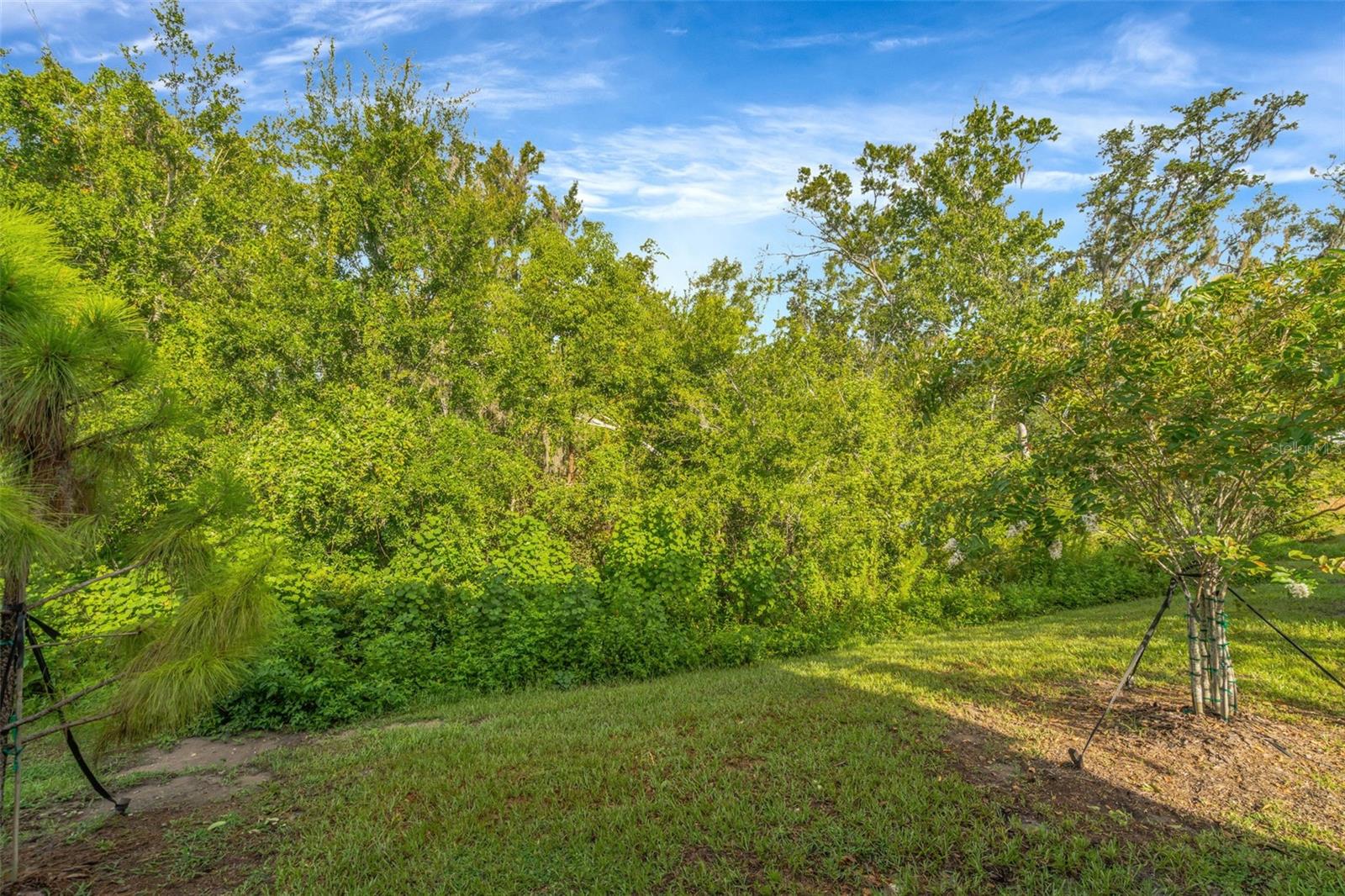 Image 30 of 40 For 6033 Acara Lane