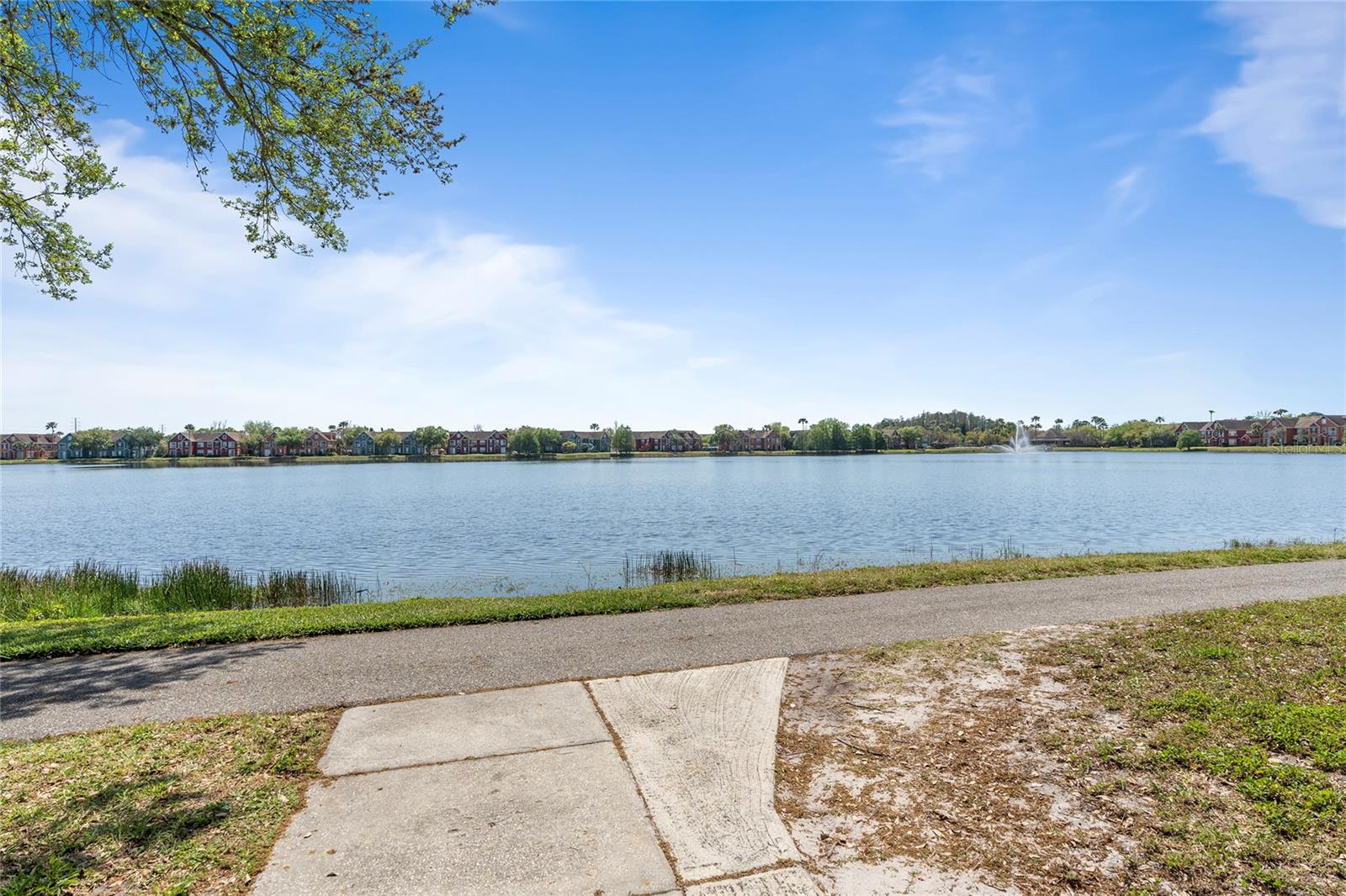 Image 45 of 56 For 9158 Lake Chase Island Way 9158