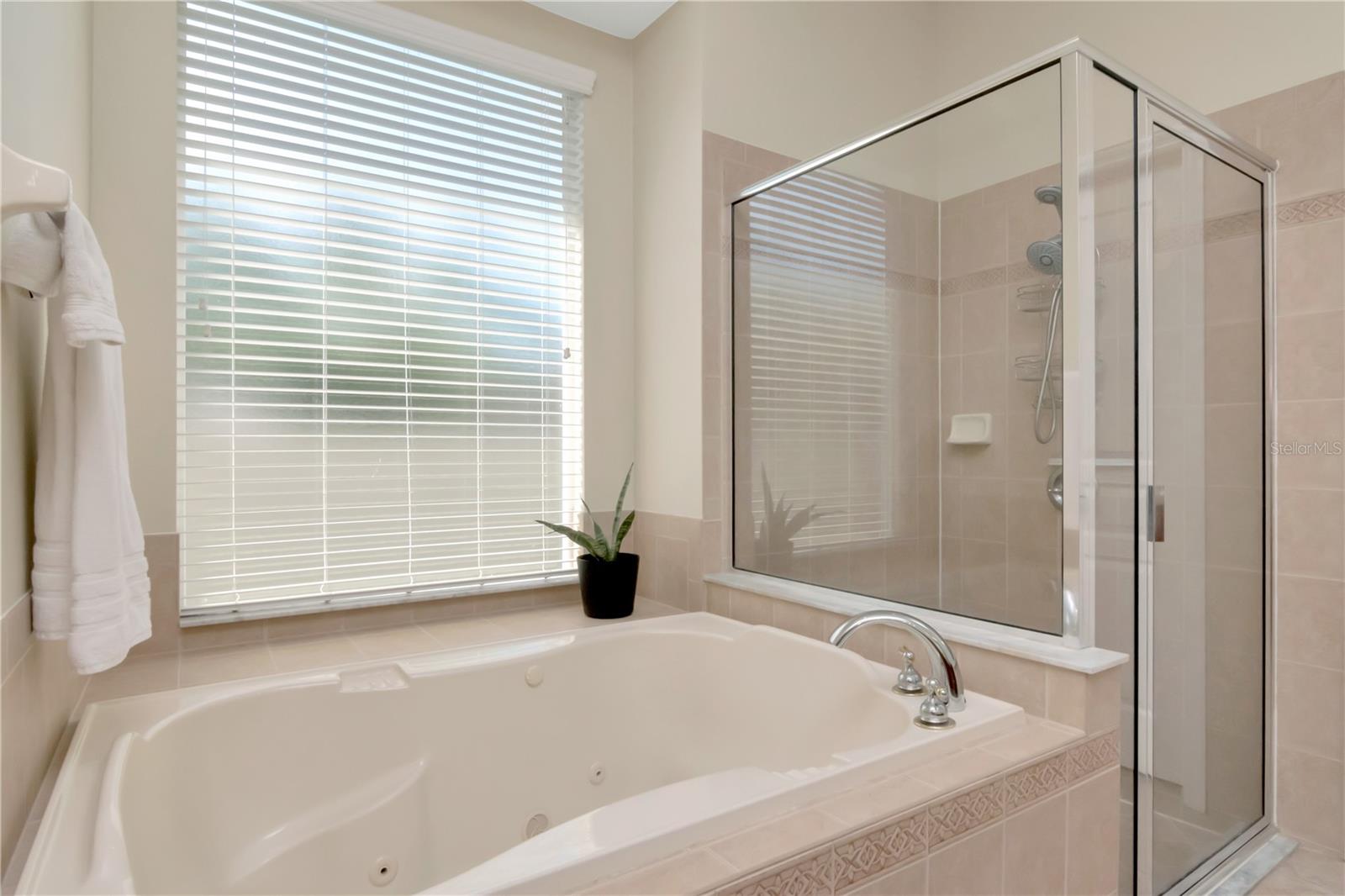Image 40 of 99 For 7204 Derwent Glen Circle