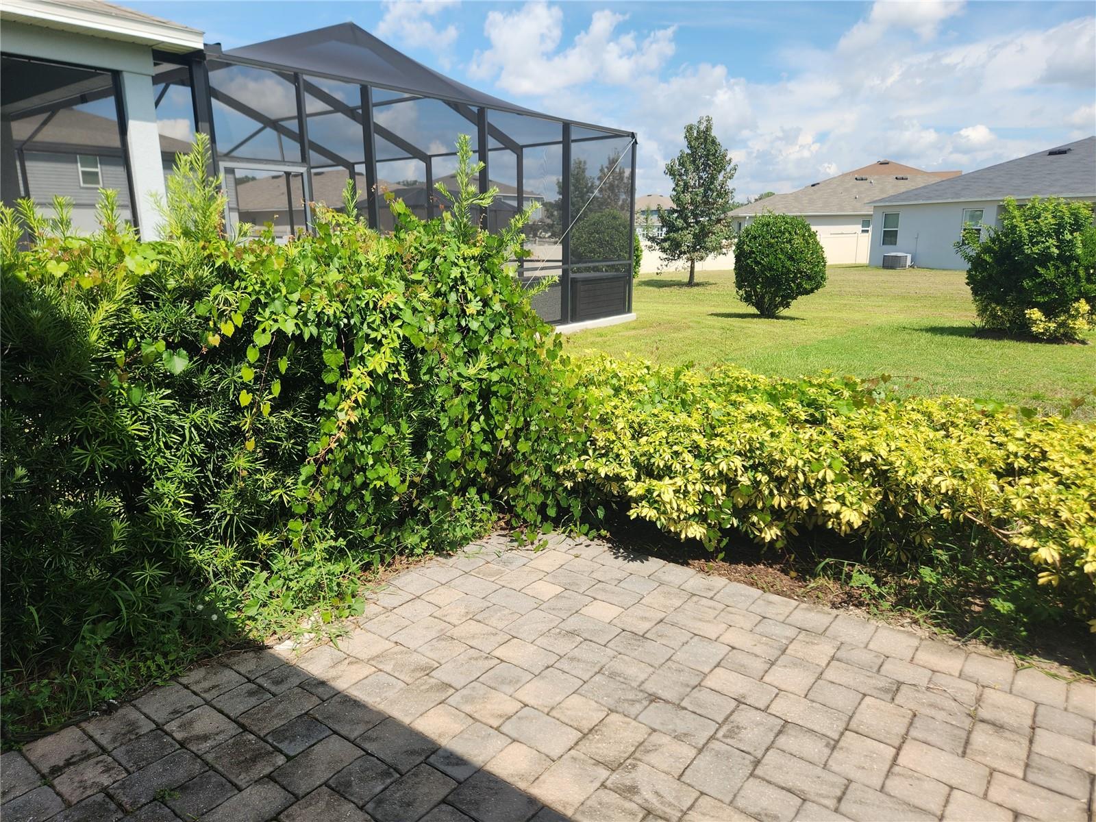 Image 26 of 27 For 7308 Ibis Drive