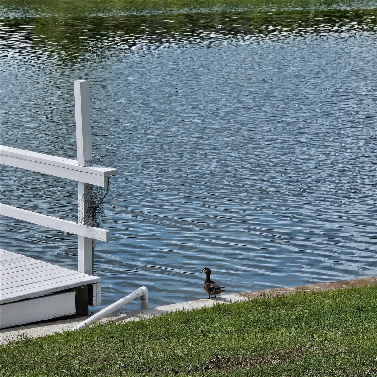 Image 29 of 37 For 1717 Danbury Drive