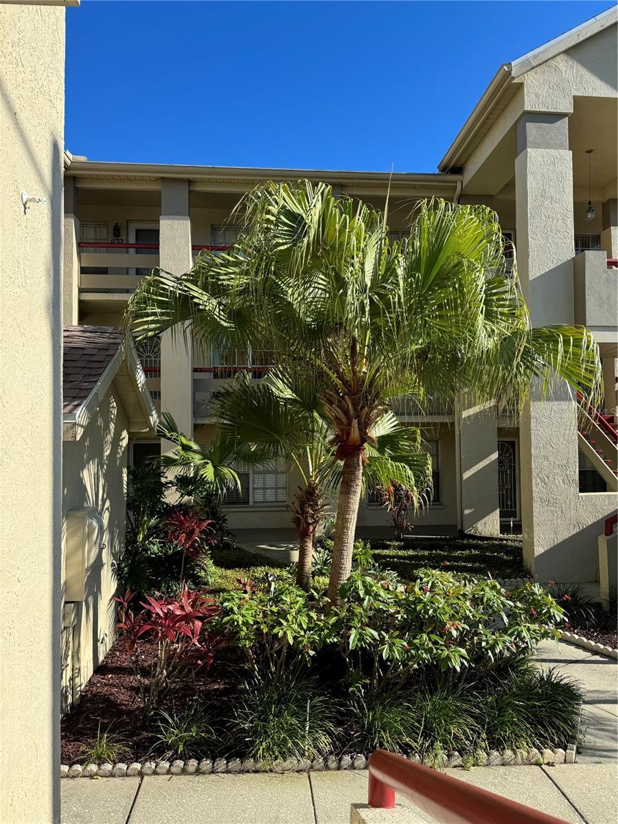 Image 37 of 38 For 4575 Whitton Way 1126