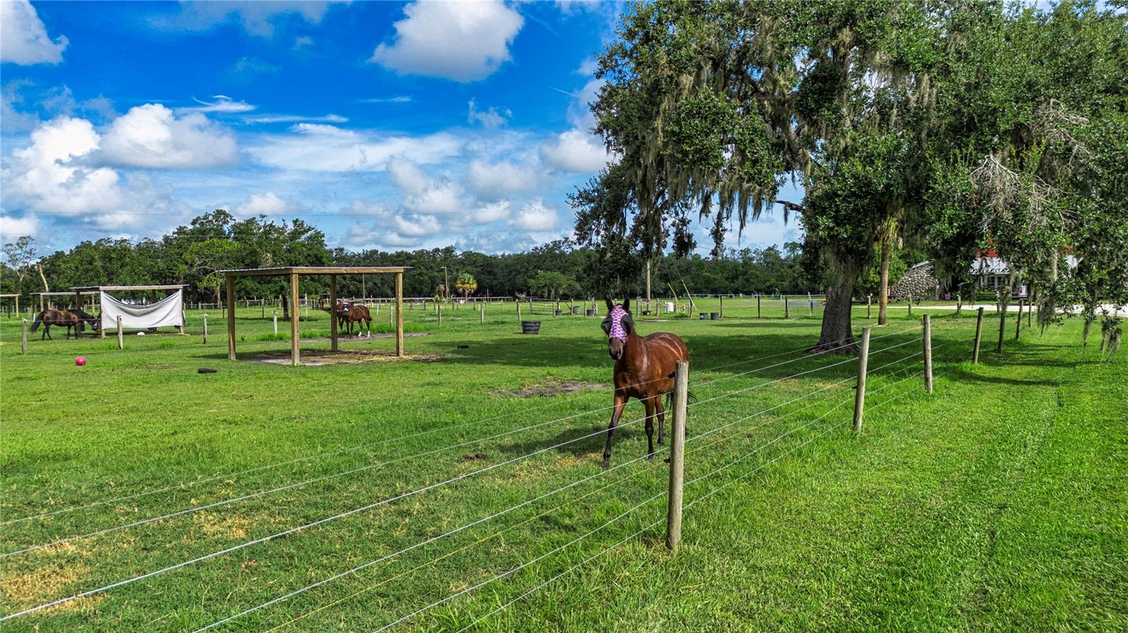 Image 89 of 99 For 1422 Lightfoot Road