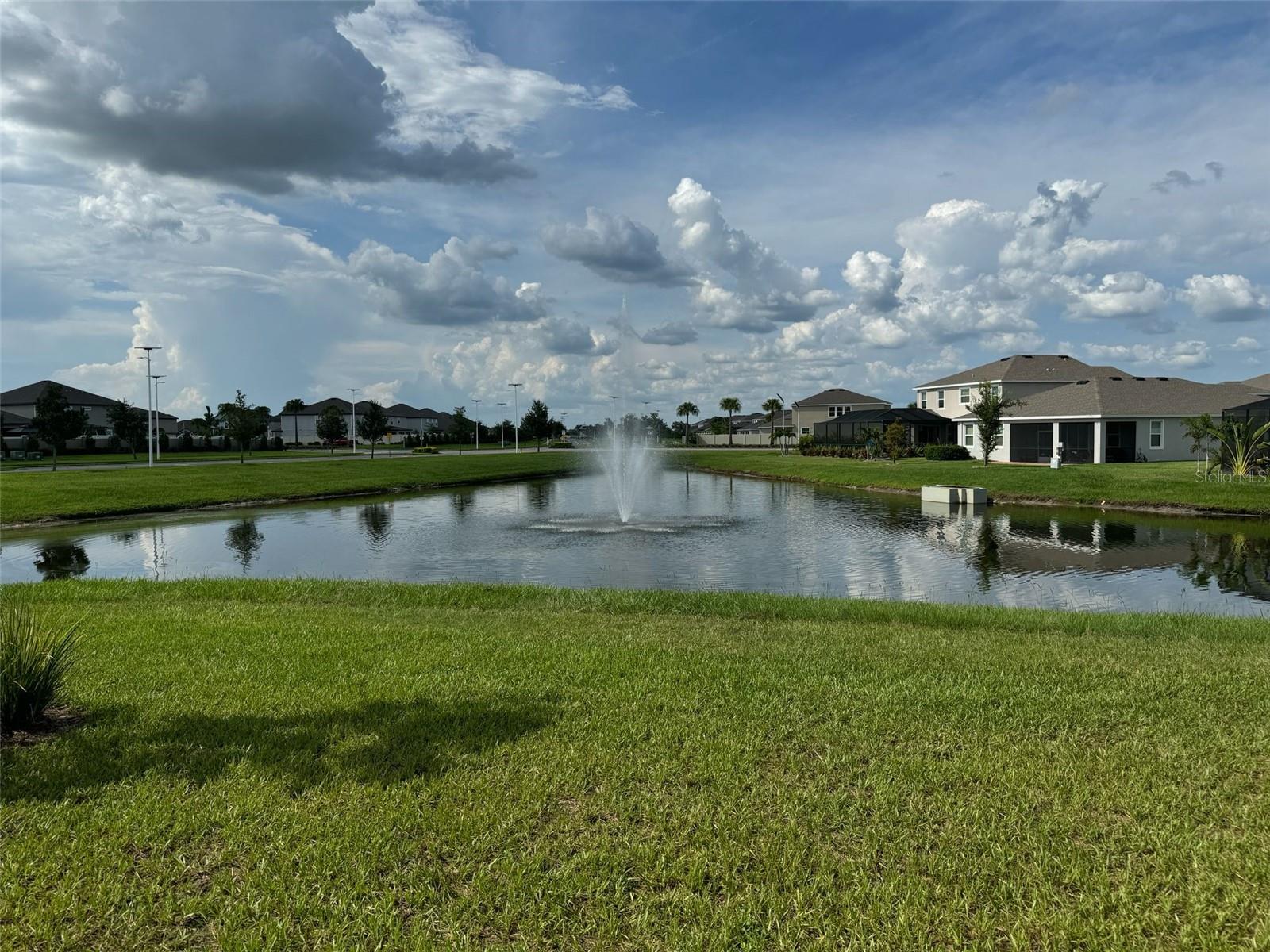 Details for 31869 Blue Passing Loop, WESLEY CHAPEL, FL 33545