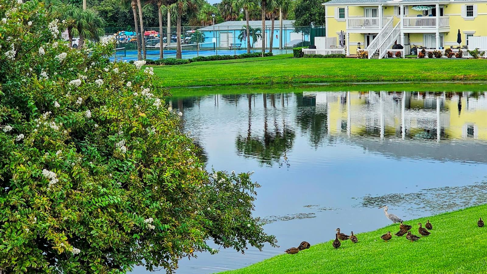 Image 27 of 42 For 213 Seahorse Drive Se C