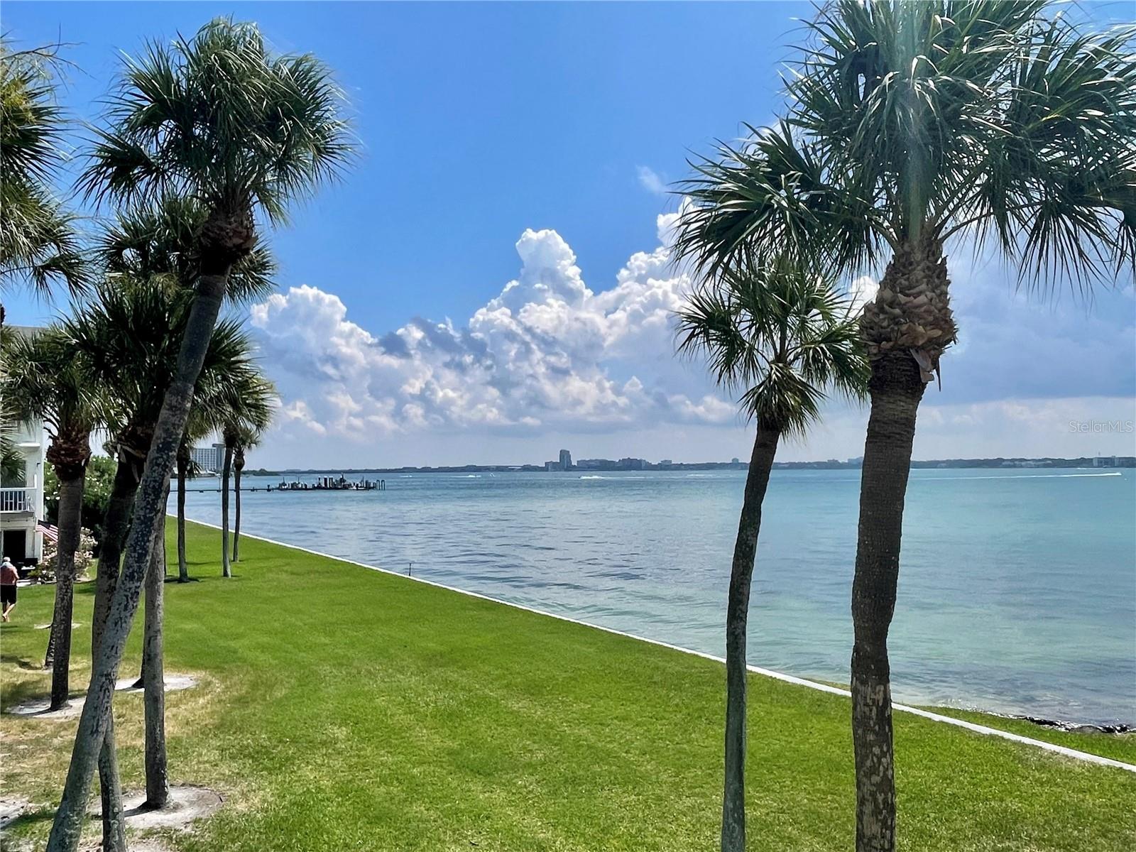 Details for 1451 Gulf Boulevard 204, CLEARWATER, FL 33767