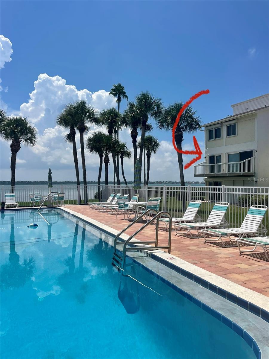 Image 2 of 42 For 1451 Gulf Boulevard 204