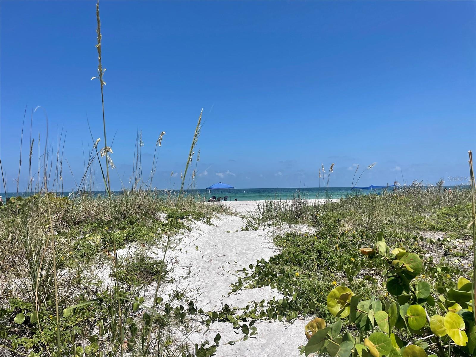 Image 40 of 42 For 1451 Gulf Boulevard 204