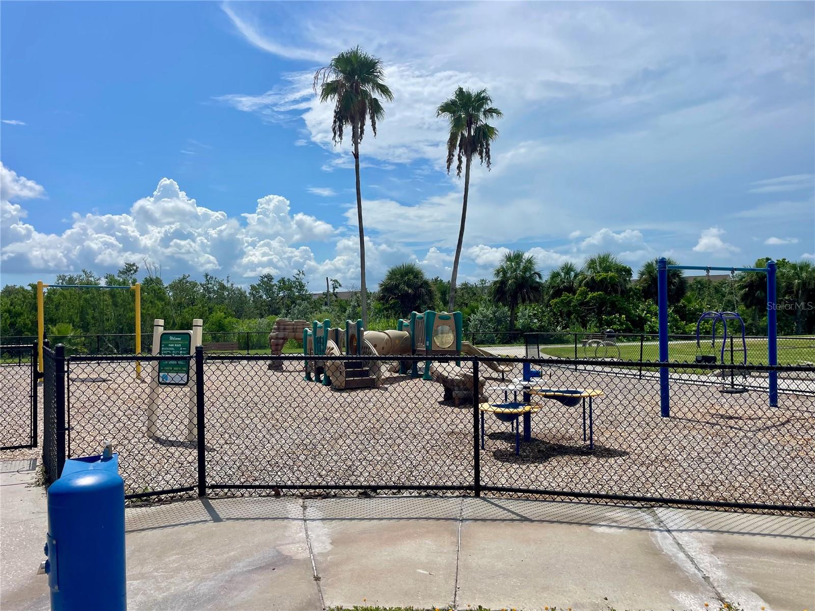 Image 41 of 42 For 1451 Gulf Boulevard 204
