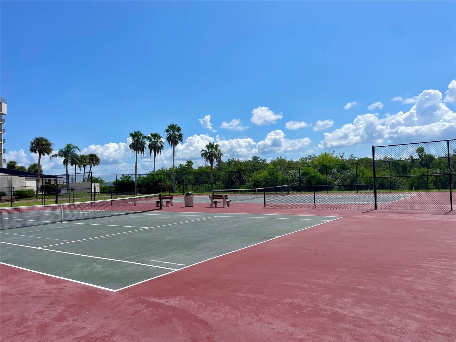 Image 42 of 42 For 1451 Gulf Boulevard 204