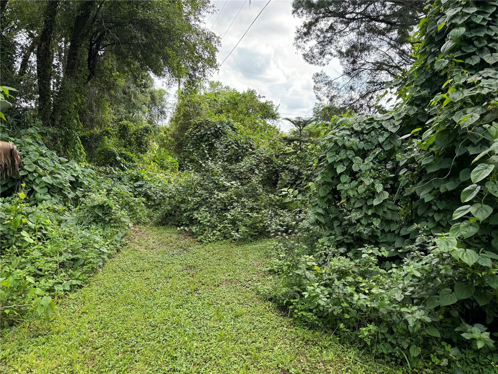Image 6 of 14 For 8707 127th Avenue