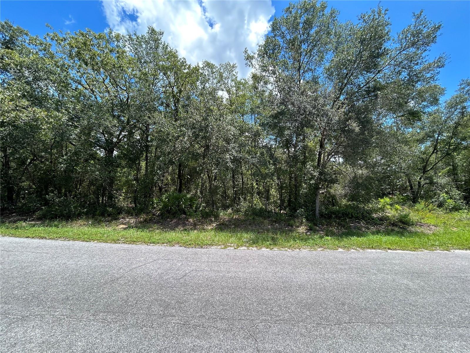 Details for 0 Malauka Radial, OCKLAWAHA, FL 32179