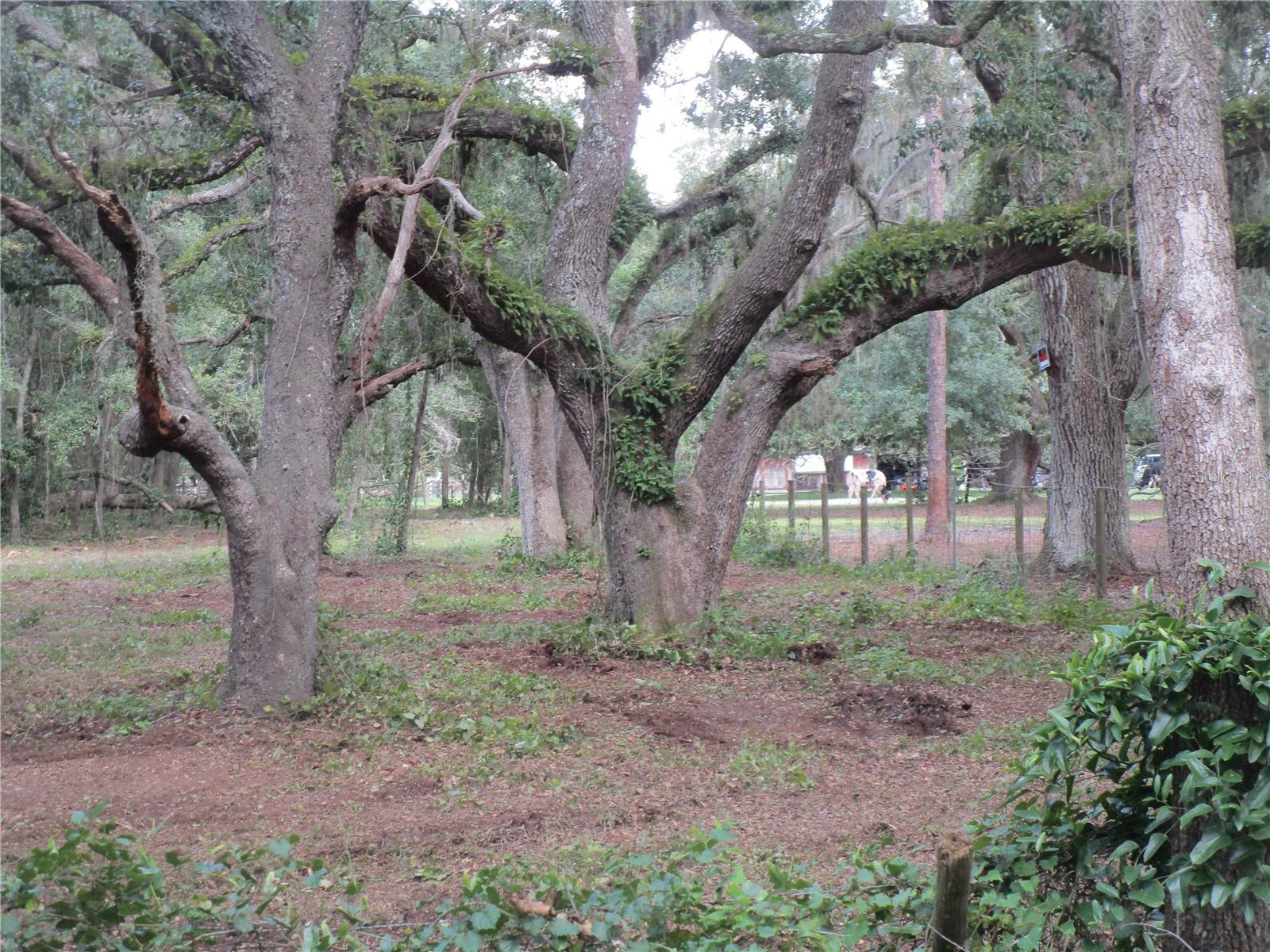 Details for 00 Castlewood Road, SEFFNER, FL 33584