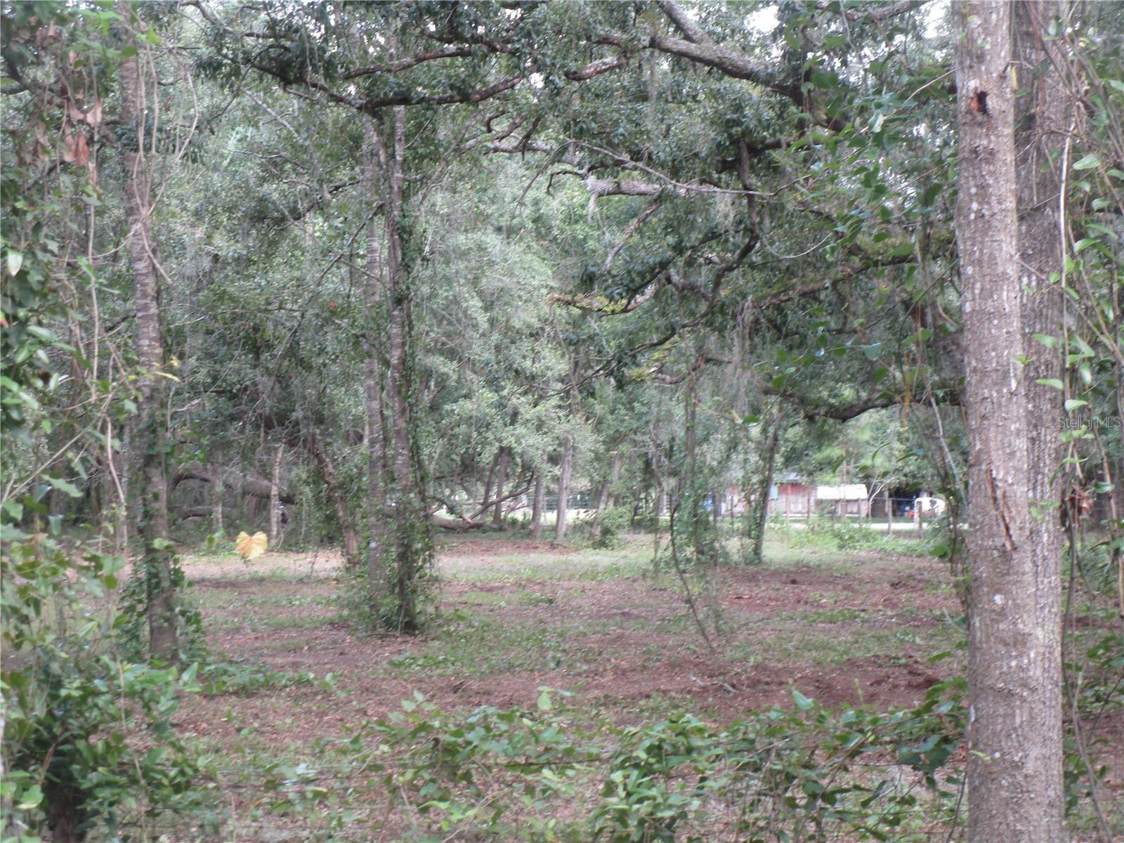 Image 2 of 5 For 00 Castlewood Road