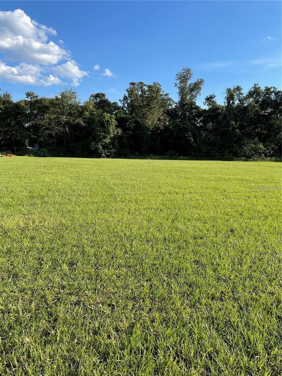 Details for 12705 Mcintosh Groves Lane, THONOTOSASSA, FL 33592